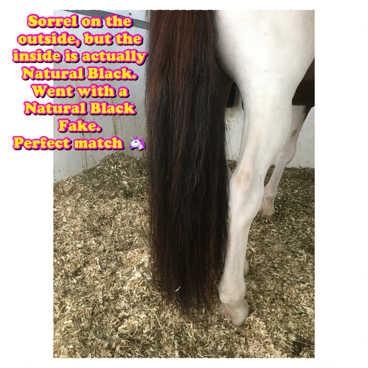 NATURAL LOOP FAKE TAILS. Real Horse Hair. Free Cover Bag, Pom Pom, Bridle Charm, Loop Charm. $99.99 - $550