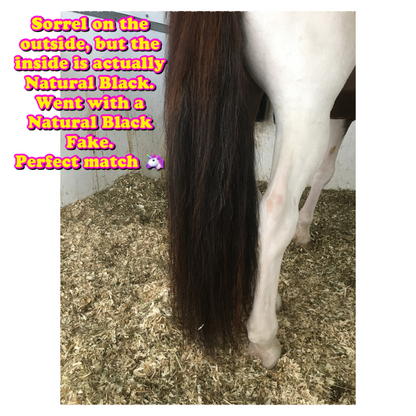 NATURAL LOOP FAKE TAILS. Real Horse Hair. Free Cover Bag, Pom Pom, Bridle Charm, Loop Charm. $99.99 - $550