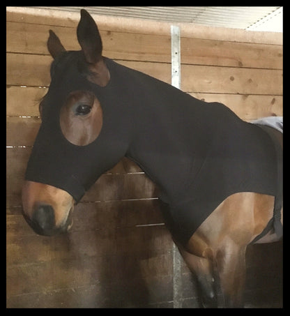 WARMBLOOD/DRAFT CROSS SLINKY. FREE CHARM