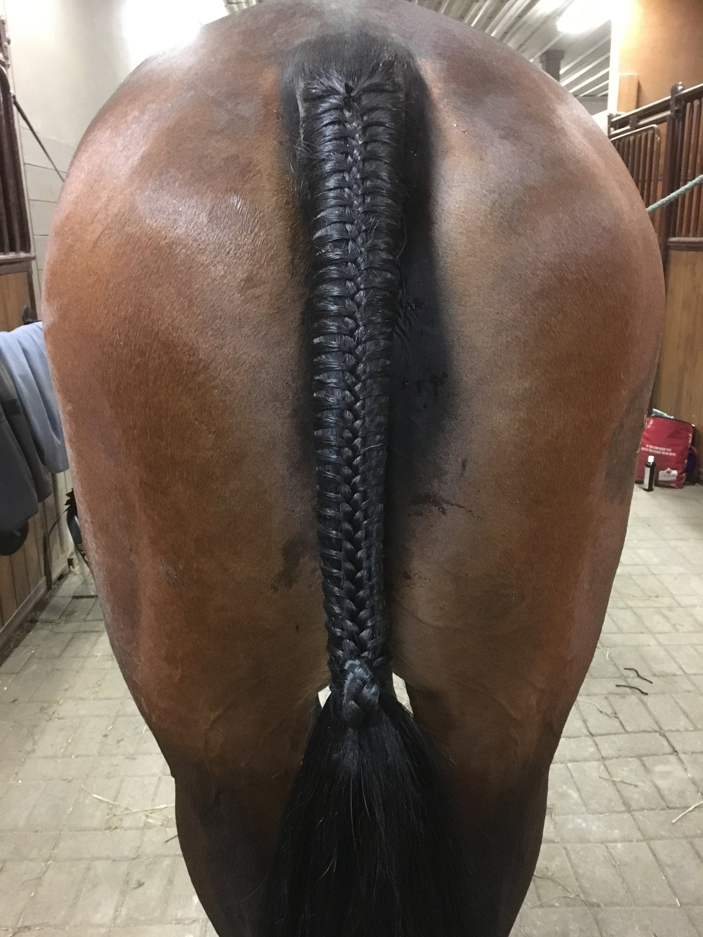 BRAIDING* Tutorials posted on the Facebook page: Katie’s Horse Care Supply (old), and Katie’s Horse Care Supply 2.0 (new). Instagram: Katie’s Horse Care Supply