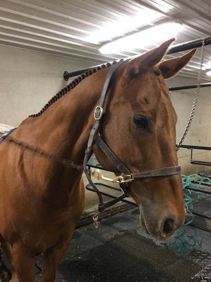 BRAIDING* Tutorials posted on the Facebook page: Katie’s Horse Care Supply (old), and Katie’s Horse Care Supply 2.0 (new). Instagram: Katie’s Horse Care Supply