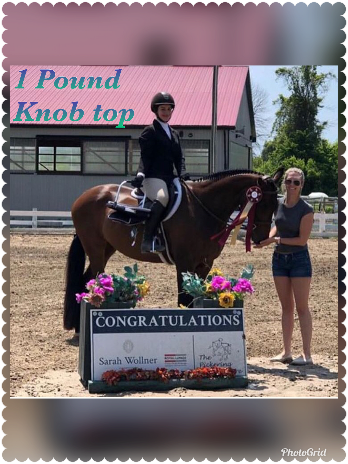 KNOB TOP Fake Tails 1 Pound. Real Horse Hair. Free Cover Bag, Pom Pom, Free Bridle Charm, Loop Charm. $180