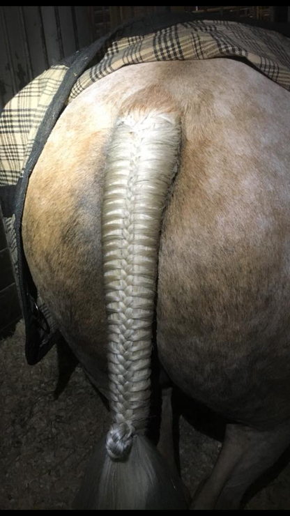 BRAIDING* Tutorials posted on the Facebook page: Katie’s Horse Care Supply (old), and Katie’s Horse Care Supply 2.0 (new). Instagram: Katie’s Horse Care Supply