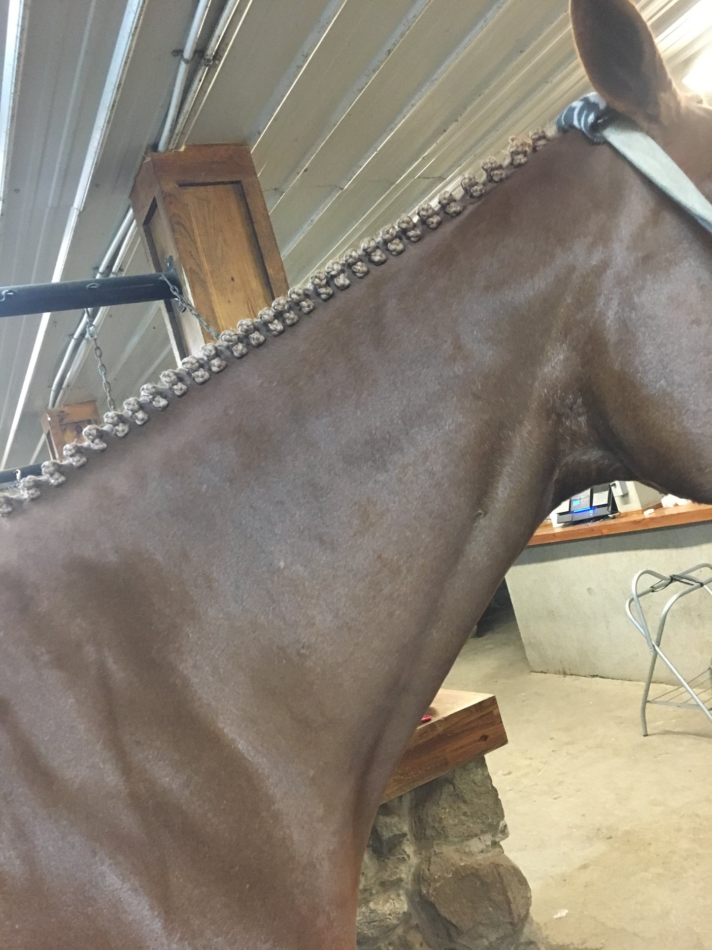BRAIDING* Tutorials posted on the Facebook page: Katie’s Horse Care Supply (old), and Katie’s Horse Care Supply 2.0 (new). Instagram: Katie’s Horse Care Supply