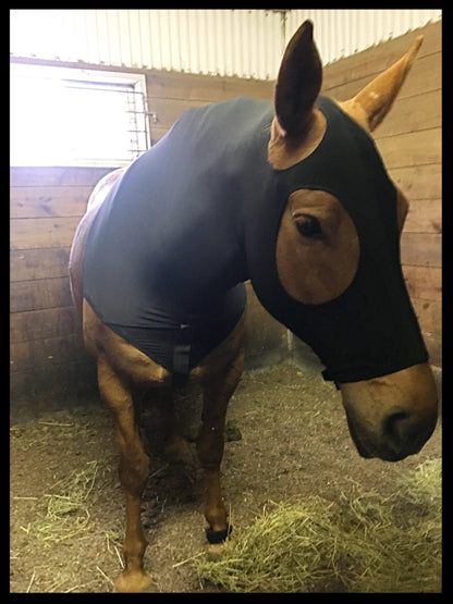 WARMBLOOD/DRAFT CROSS SLINKY. FREE CHARM