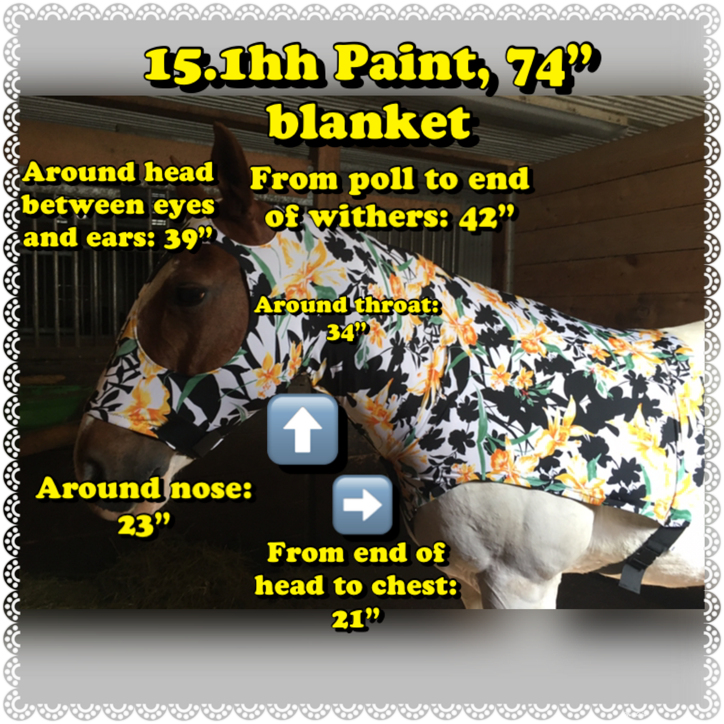 LARGE PONY/SMALL HORSE SLINKY. FREE CHARM