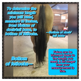 Fake Tails 1 Pound*Knob Top. Real Horse Hair. Free Cover Bag. Free Charm.