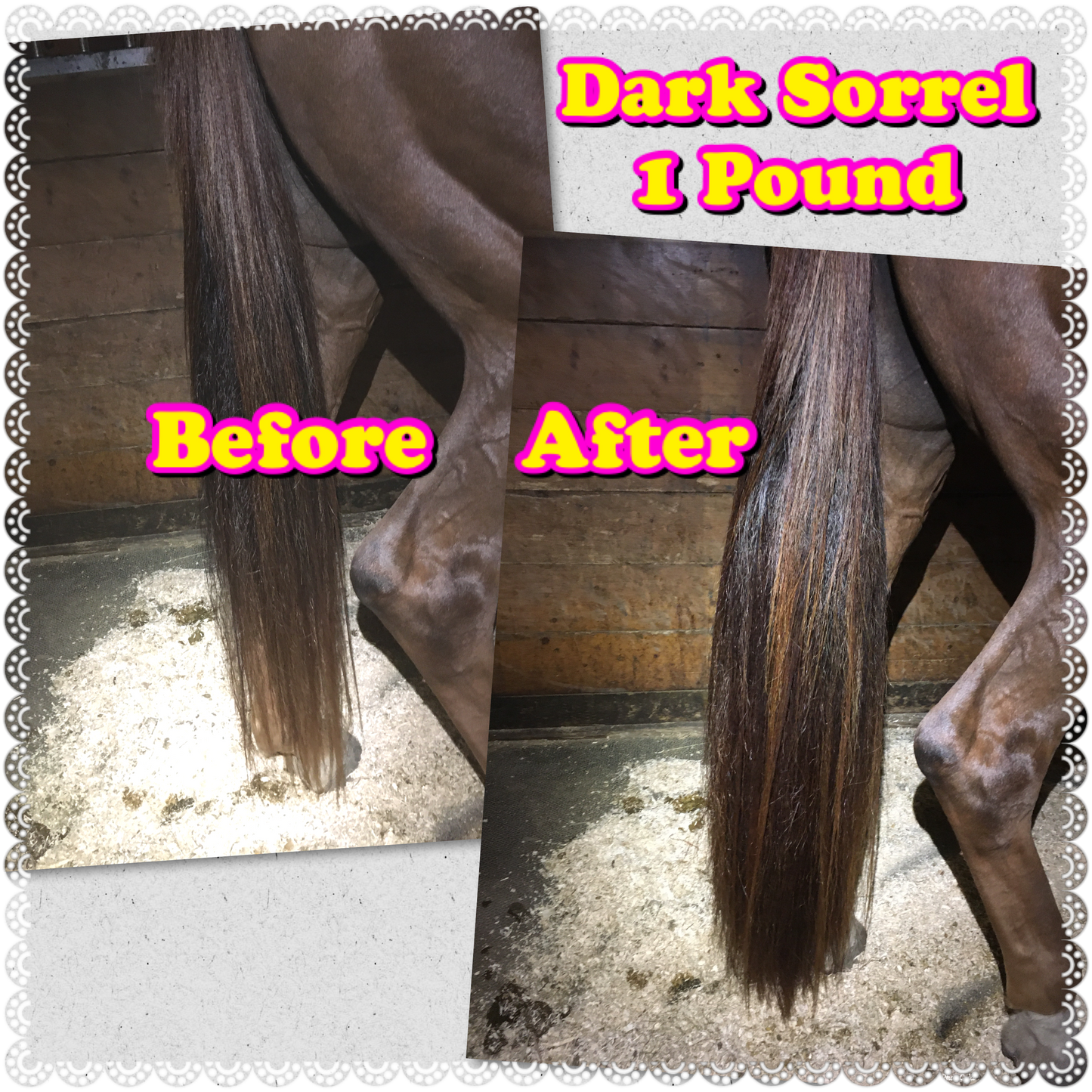 NATURAL LOOP FAKE TAILS. Real Horse Hair. Free Cover Bag, Pom Pom, Bridle Charm, Loop Charm. $99.99 - $550
