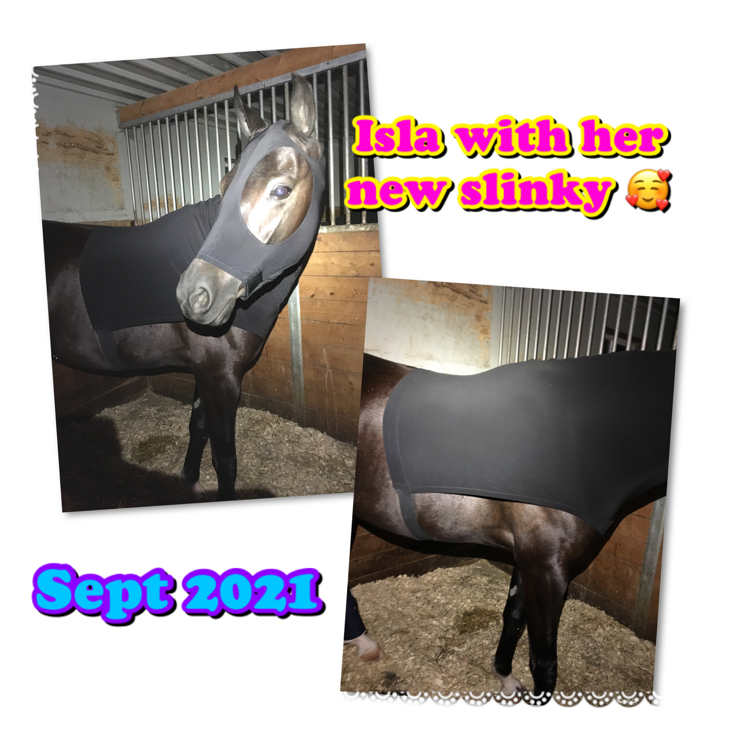 MEDIUM PONY SLINKY/SMALL-SIZED LARGE PONY. FREE CHARM
