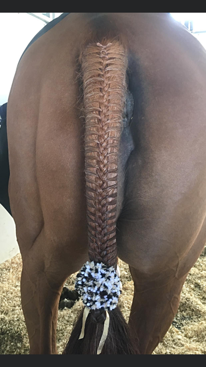 BRAIDING* Tutorials posted on the Facebook page: Katie’s Horse Care Supply (old), and Katie’s Horse Care Supply 2.0 (new). Instagram: Katie’s Horse Care Supply