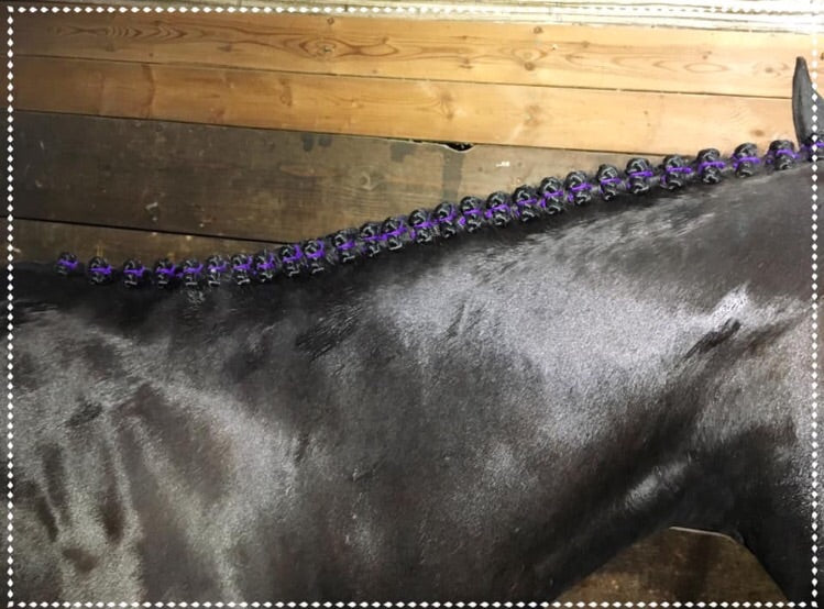 BRAIDING* Tutorials posted on the Facebook page: Katie’s Horse Care Supply (old), and Katie’s Horse Care Supply 2.0 (new). Instagram: Katie’s Horse Care Supply