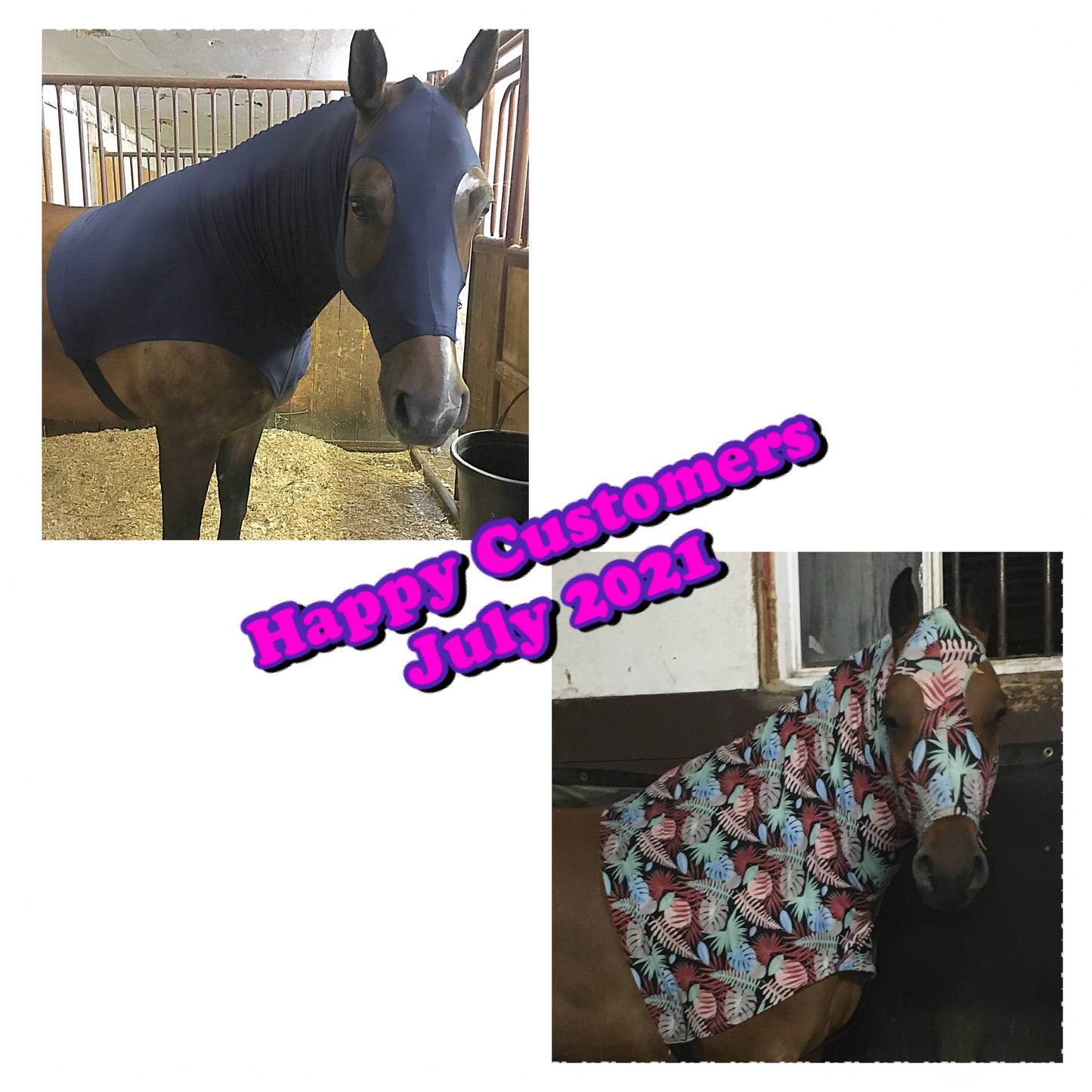 MEDIUM PONY SLINKY/SMALL-SIZED LARGE PONY. FREE CHARM