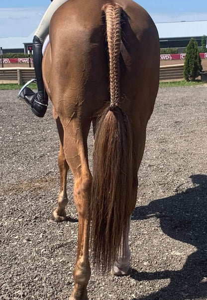 NATURAL LOOP FAKE TAILS. Real Horse Hair. Free Cover Bag, Pom Pom, Bridle Charm, Loop Charm. $99.99 - $550