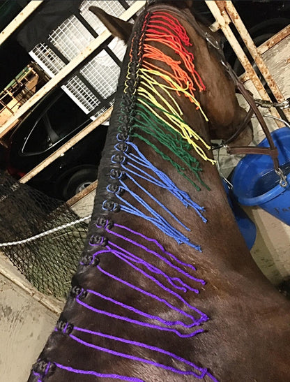 BRAIDING* Tutorials posted on the Facebook page: Katie’s Horse Care Supply (old), and Katie’s Horse Care Supply 2.0 (new). Instagram: Katie’s Horse Care Supply