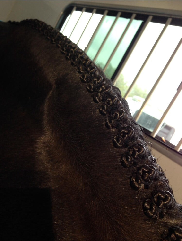 BRAIDING* Tutorials posted on the Facebook page: Katie’s Horse Care Supply (old), and Katie’s Horse Care Supply 2.0 (new). Instagram: Katie’s Horse Care Supply