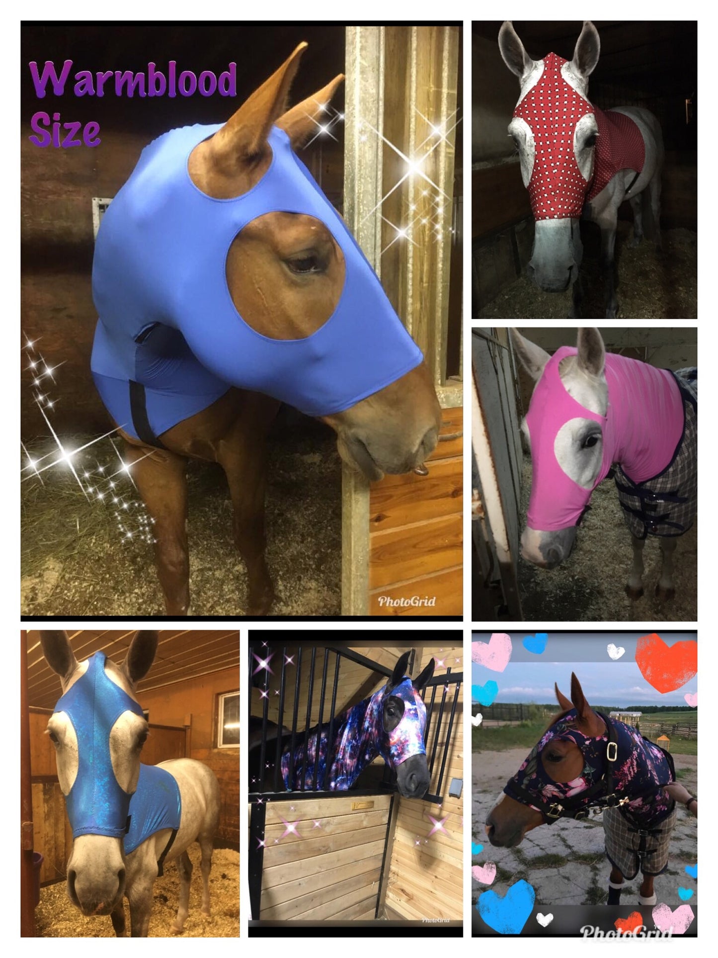 WARMBLOOD/DRAFT CROSS SLINKY. FREE CHARM