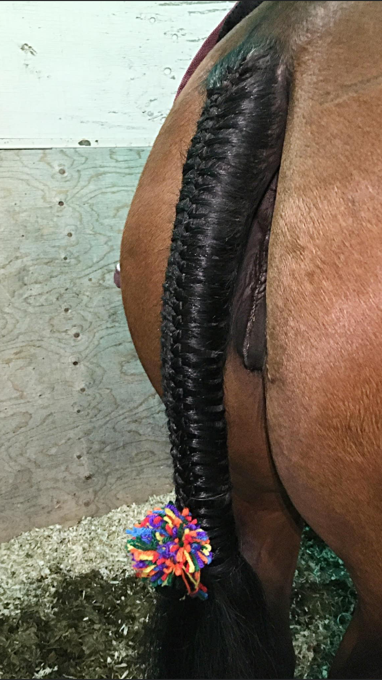 BRAIDING* Tutorials posted on the Facebook page: Katie’s Horse Care Supply (old), and Katie’s Horse Care Supply 2.0 (new). Instagram: Katie’s Horse Care Supply