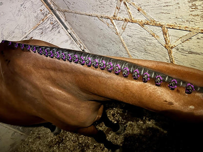 BRAIDING* Tutorials posted on the Facebook page: Katie’s Horse Care Supply (old), and Katie’s Horse Care Supply 2.0 (new). Instagram: Katie’s Horse Care Supply
