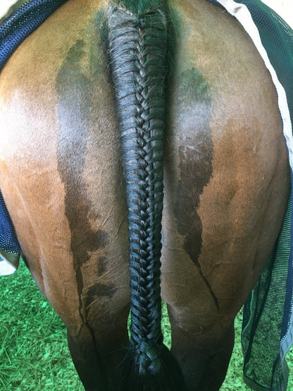 BRAIDING* Tutorials posted on the Facebook page: Katie’s Horse Care Supply (old), and Katie’s Horse Care Supply 2.0 (new). Instagram: Katie’s Horse Care Supply