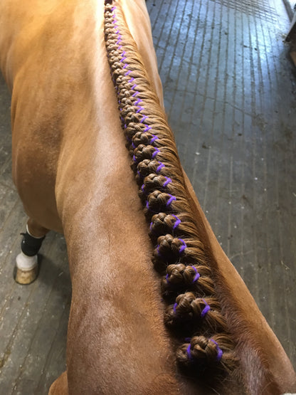 BRAIDING* Tutorials posted on the Facebook page: Katie’s Horse Care Supply (old), and Katie’s Horse Care Supply 2.0 (new). Instagram: Katie’s Horse Care Supply