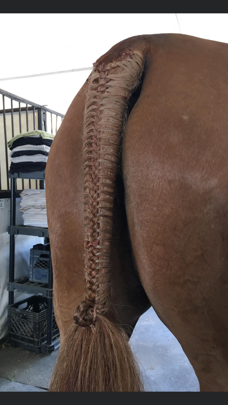 BRAIDING* Tutorials posted on the Facebook page: Katie’s Horse Care Supply (old), and Katie’s Horse Care Supply 2.0 (new). Instagram: Katie’s Horse Care Supply