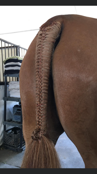 BRAIDING* Tutorials posted on the Facebook page: Katie’s Horse Care Supply (old), and Katie’s Horse Care Supply 2.0 (new). Instagram: Katie’s Horse Care Supply