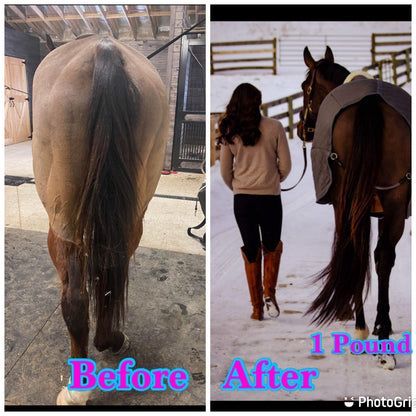 NATURAL LOOP FAKE TAILS. Real Horse Hair. Free Cover Bag, Pom Pom, Bridle Charm, Loop Charm. $99.99 - $550