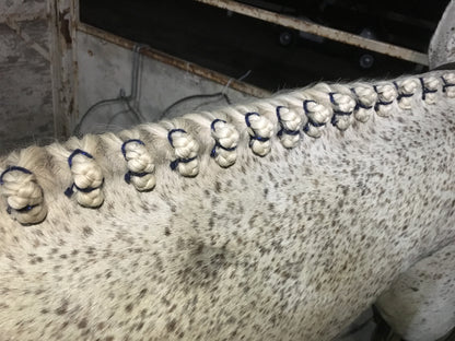 BRAIDING* Tutorials posted on the Facebook page: Katie’s Horse Care Supply (old), and Katie’s Horse Care Supply 2.0 (new). Instagram: Katie’s Horse Care Supply