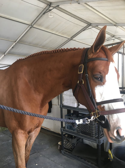 BRAIDING* Tutorials posted on the Facebook page: Katie’s Horse Care Supply (old), and Katie’s Horse Care Supply 2.0 (new). Instagram: Katie’s Horse Care Supply