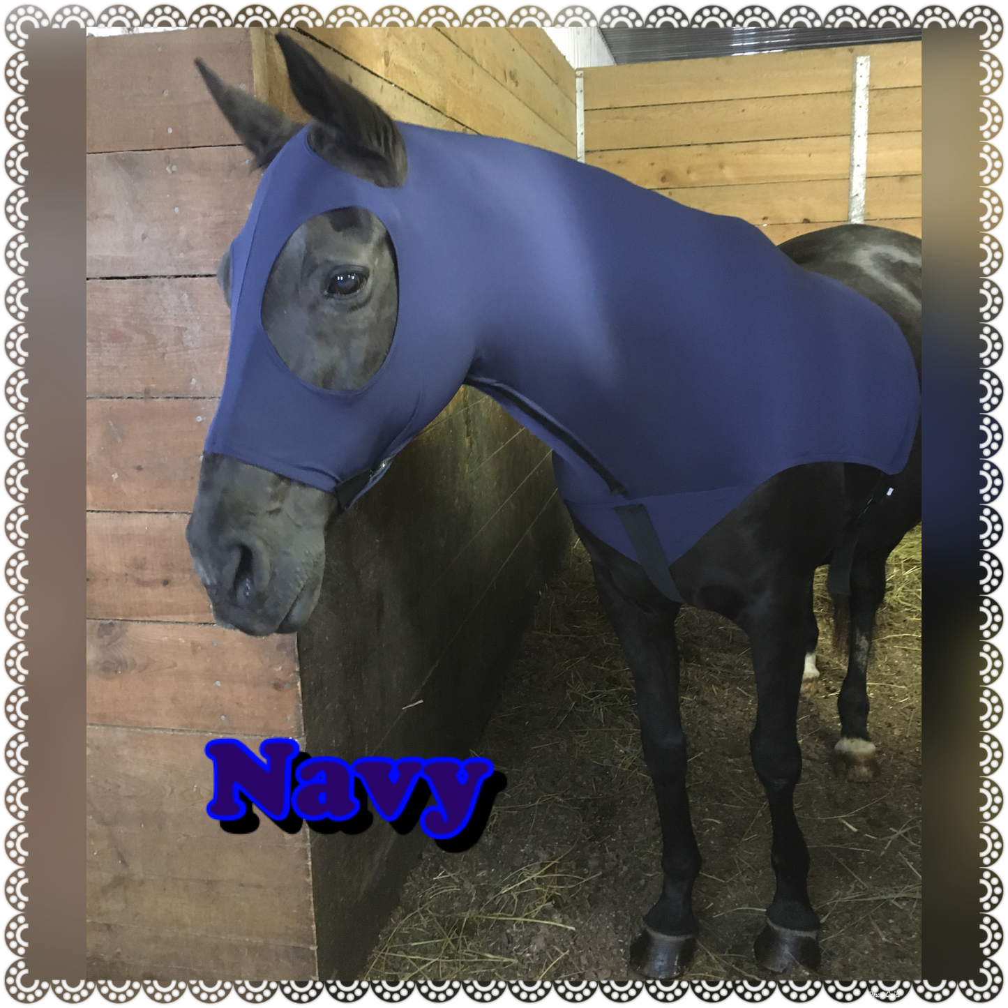 WARMBLOOD/DRAFT CROSS SLINKY. FREE CHARM