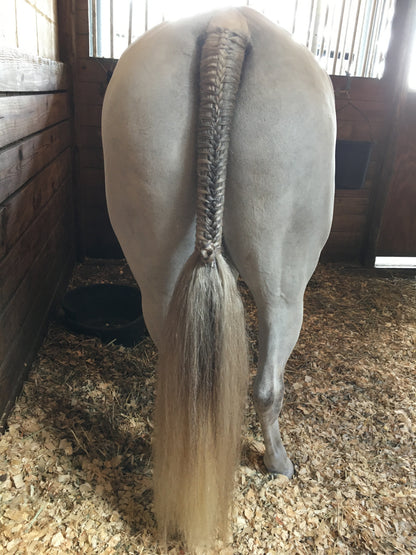 BRAIDING* Tutorials posted on the Facebook page: Katie’s Horse Care Supply (old), and Katie’s Horse Care Supply 2.0 (new). Instagram: Katie’s Horse Care Supply