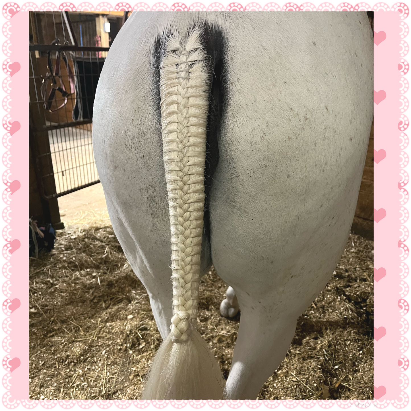 BRAIDING* Tutorials posted on the Facebook page: Katie’s Horse Care Supply (old), and Katie’s Horse Care Supply 2.0 (new). Instagram: Katie’s Horse Care Supply