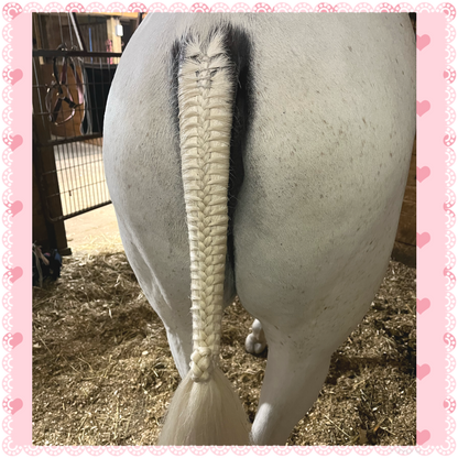 BRAIDING* Tutorials posted on the Facebook page: Katie’s Horse Care Supply (old), and Katie’s Horse Care Supply 2.0 (new). Instagram: Katie’s Horse Care Supply