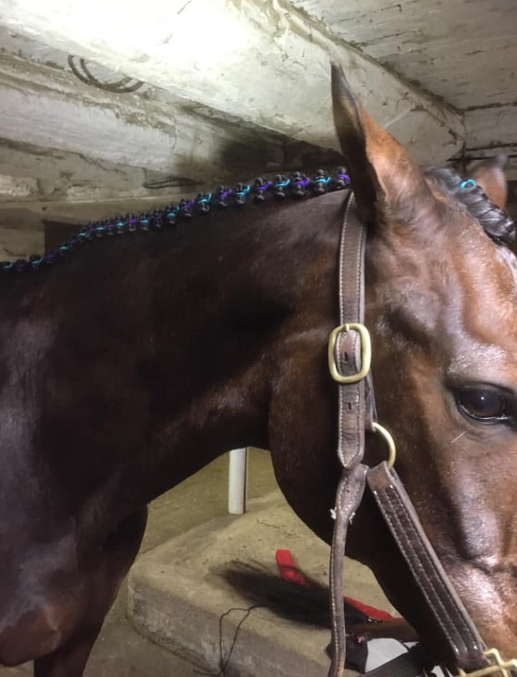 BRAIDING* Tutorials posted on the Facebook page: Katie’s Horse Care Supply (old), and Katie’s Horse Care Supply 2.0 (new). Instagram: Katie’s Horse Care Supply