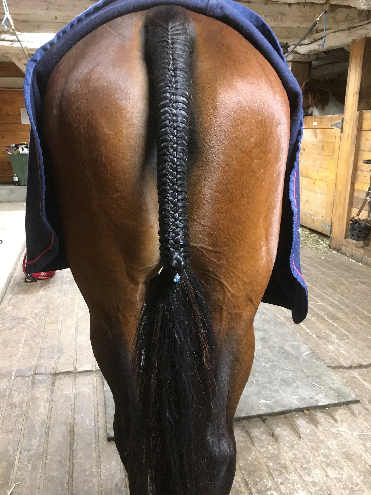 BRAIDING* Tutorials posted on the Facebook page: Katie’s Horse Care Supply (old), and Katie’s Horse Care Supply 2.0 (new). Instagram: Katie’s Horse Care Supply