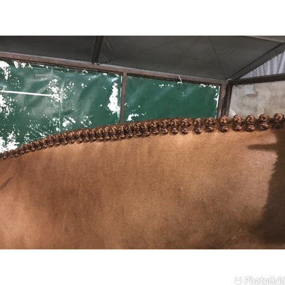 BRAIDING* Tutorials posted on the Facebook page: Katie’s Horse Care Supply (old), and Katie’s Horse Care Supply 2.0 (new). Instagram: Katie’s Horse Care Supply