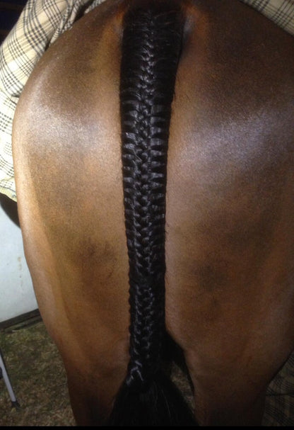 BRAIDING* Tutorials posted on the Facebook page: Katie’s Horse Care Supply (old), and Katie’s Horse Care Supply 2.0 (new). Instagram: Katie’s Horse Care Supply
