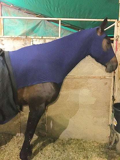 WARMBLOOD/DRAFT CROSS SLINKY. FREE CHARM