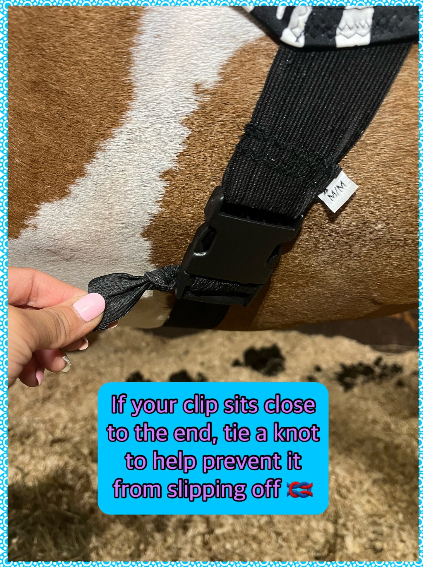 LARGE PONY/SMALL HORSE SLINKY. FREE CHARM