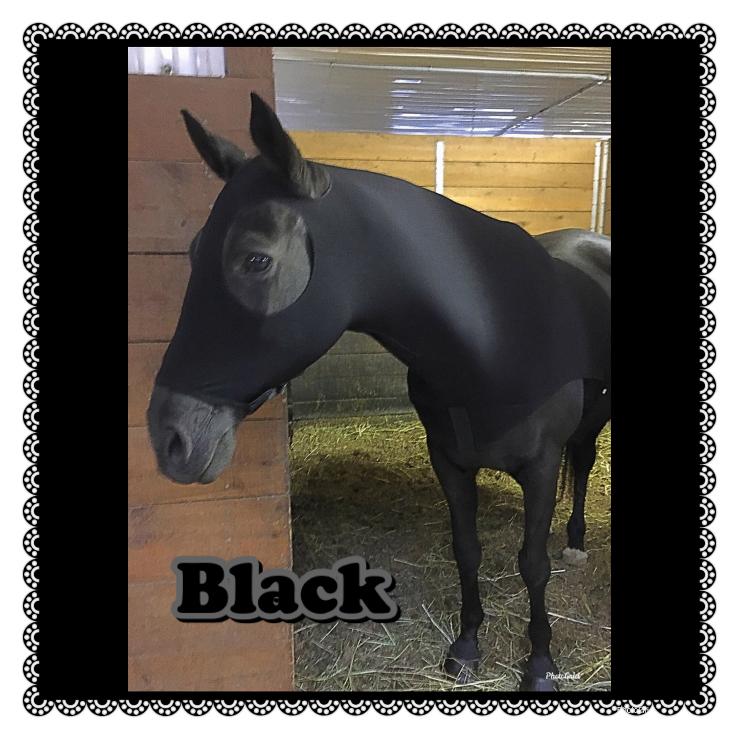 HORSE SIZE SLINKY. FREE CHARM