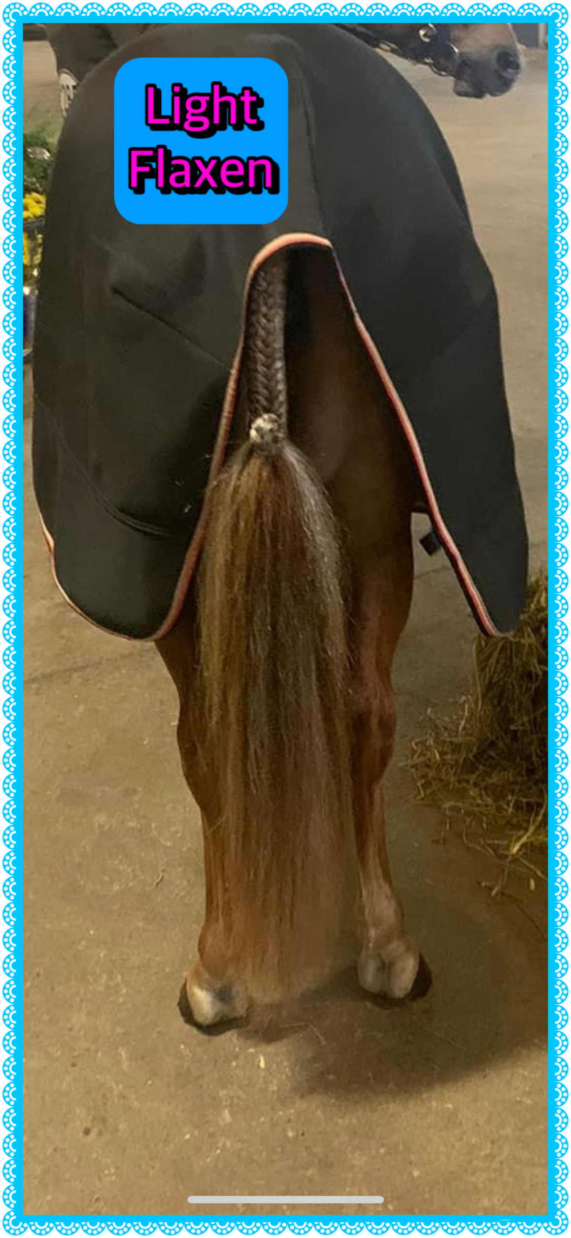 NATURAL LOOP FAKE TAILS. Real Horse Hair. Free Cover Bag, Pom Pom, Bridle Charm, Loop Charm. $99.99 - $550
