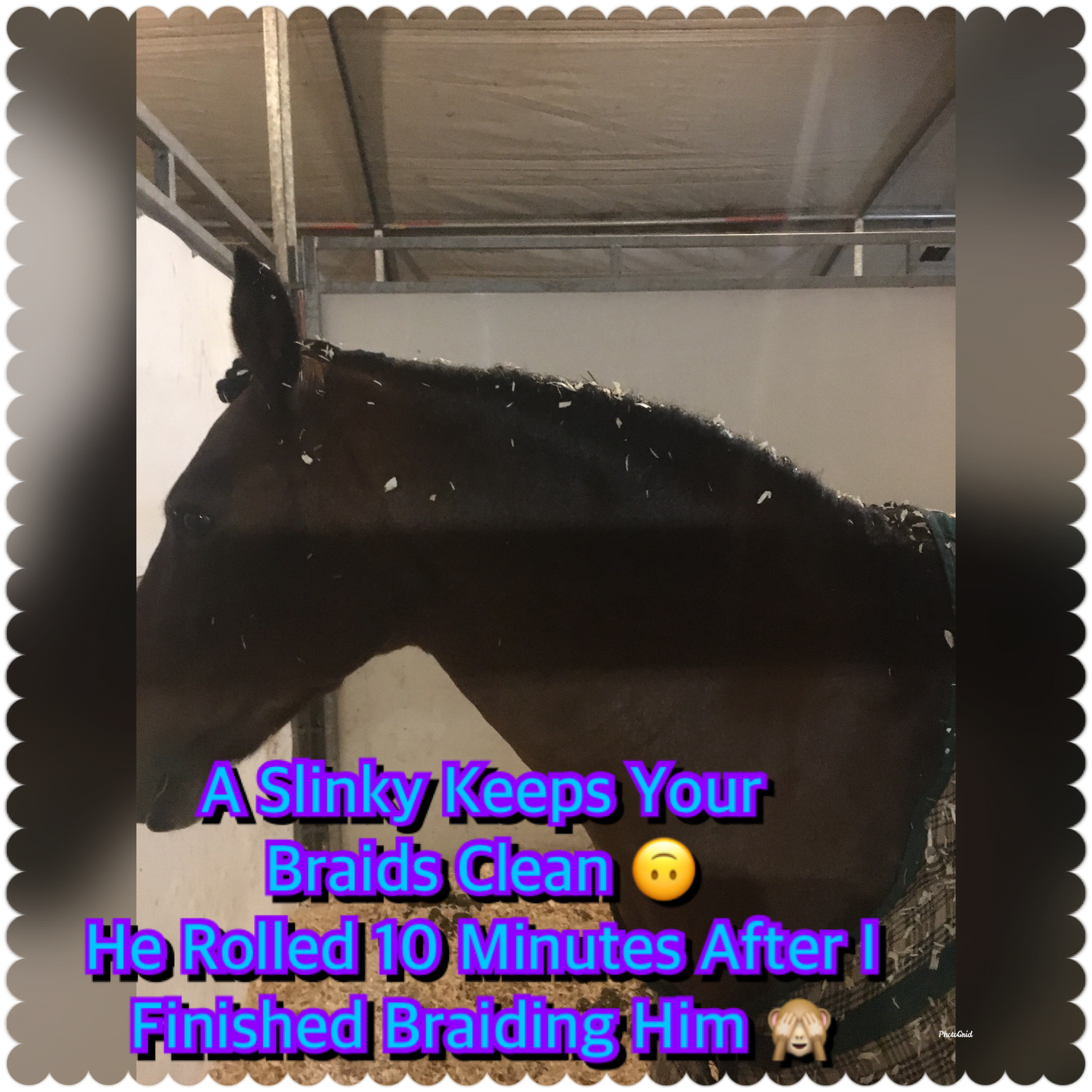 LARGE PONY/SMALL HORSE SLINKY. FREE CHARM