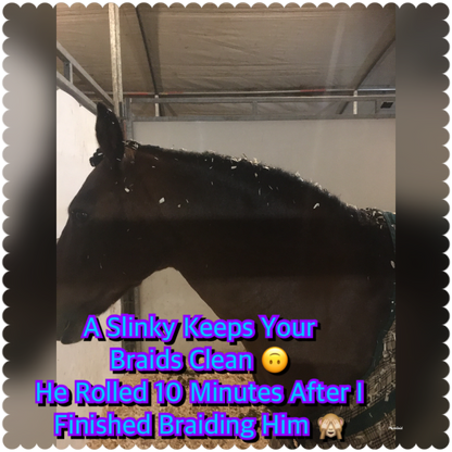SMALL PONY SLINKY/SMALL-SIZED MEDIUM PONY. FREE CHARM