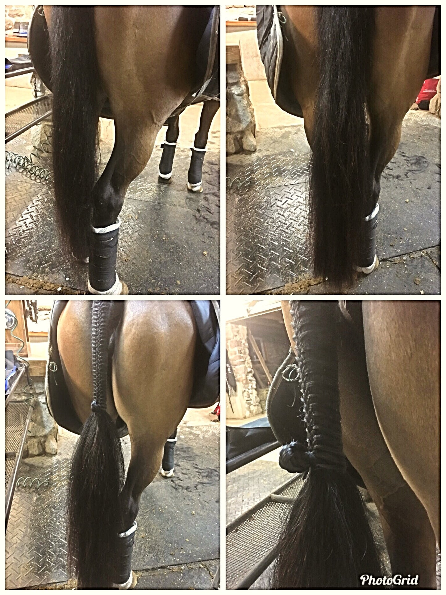 KNOB TOP Fake Tails 1 Pound. Real Horse Hair. Free Cover Bag, Pom Pom, Free Bridle Charm, Loop Charm. $180
