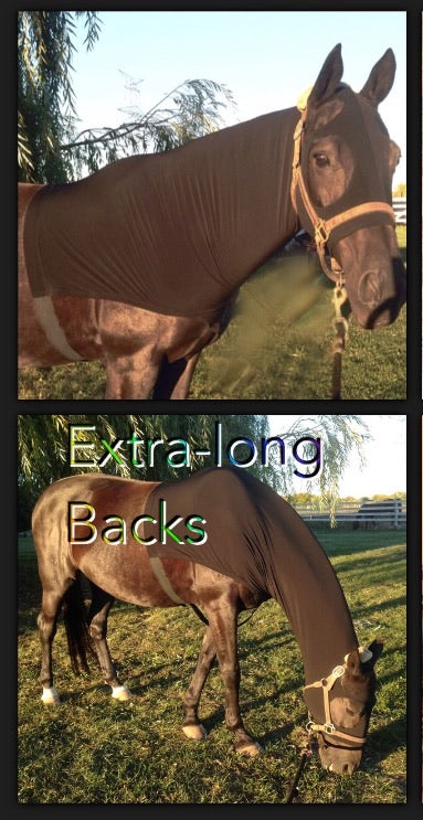 LARGE PONY/SMALL HORSE SLINKY. FREE CHARM