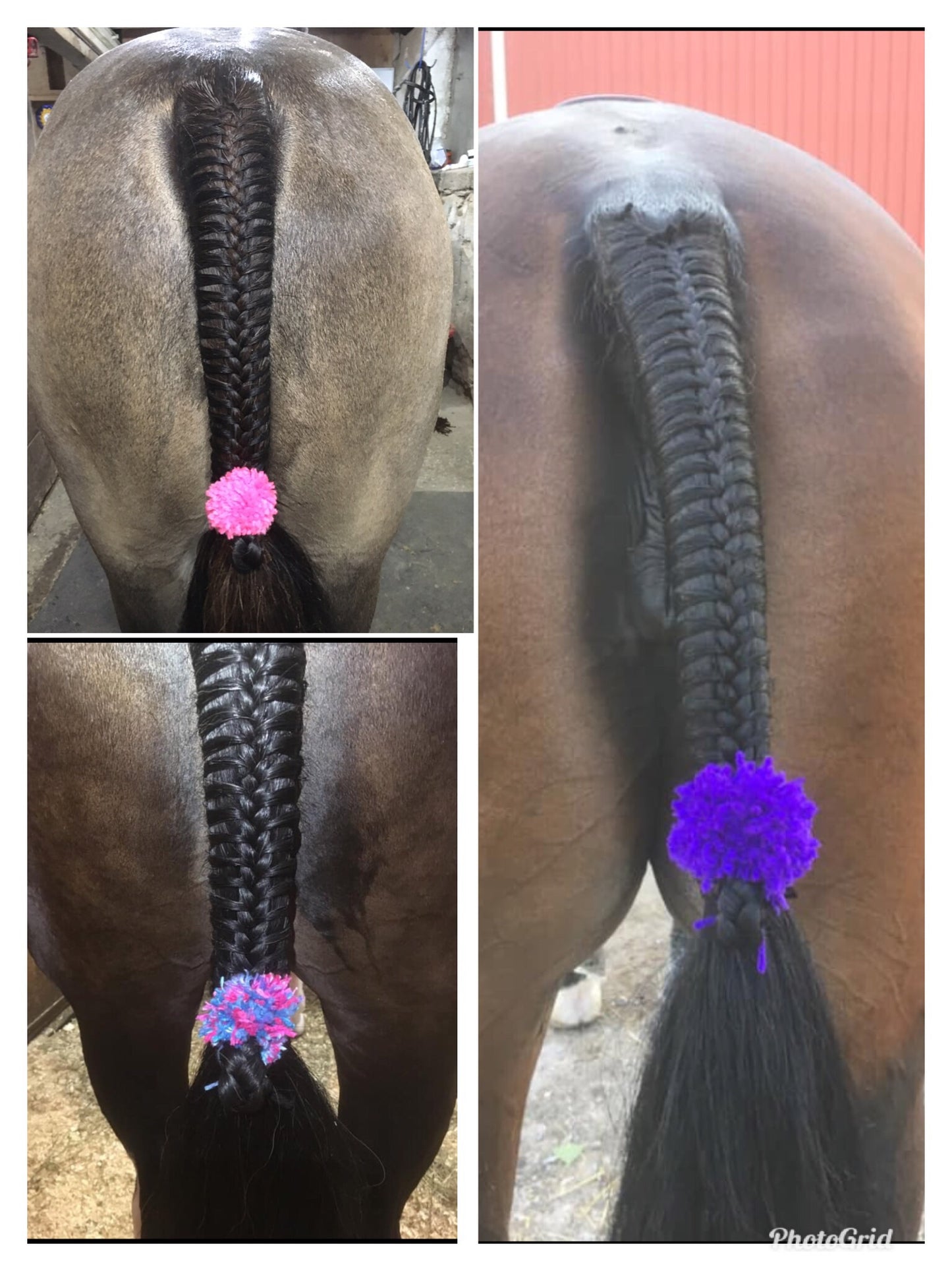 BRAIDING* Tutorials posted on the Facebook page: Katie’s Horse Care Supply (old), and Katie’s Horse Care Supply 2.0 (new). Instagram: Katie’s Horse Care Supply