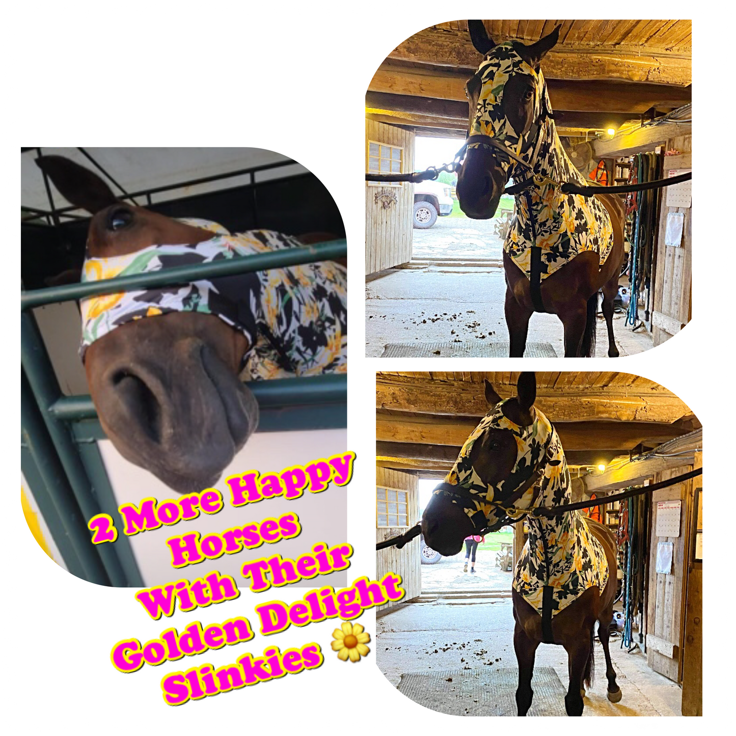 LARGE PONY/SMALL HORSE SLINKY. FREE CHARM