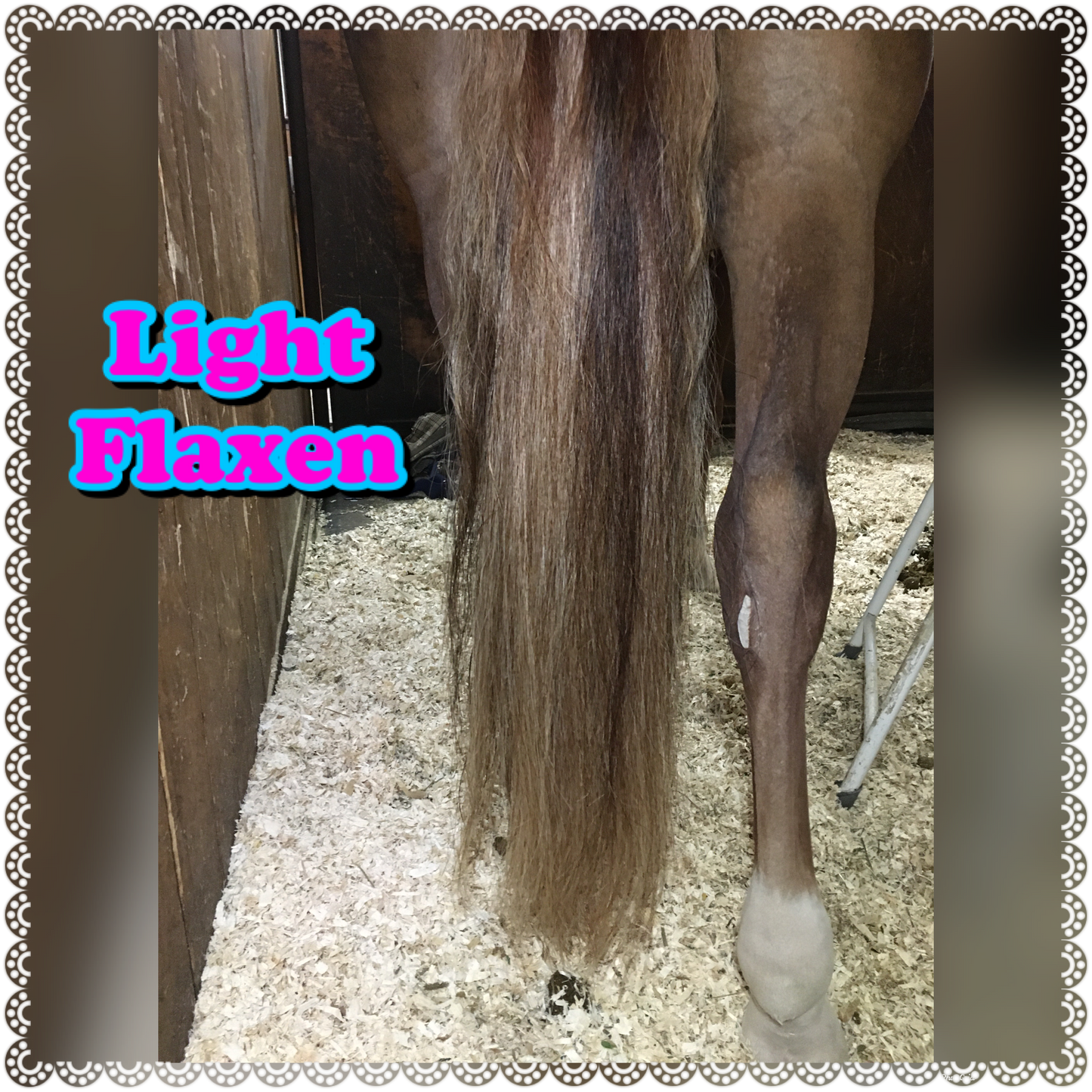 NATURAL LOOP FAKE TAILS. Real Horse Hair. Free Cover Bag, Pom Pom, Bridle Charm, Loop Charm. $99.99 - $550