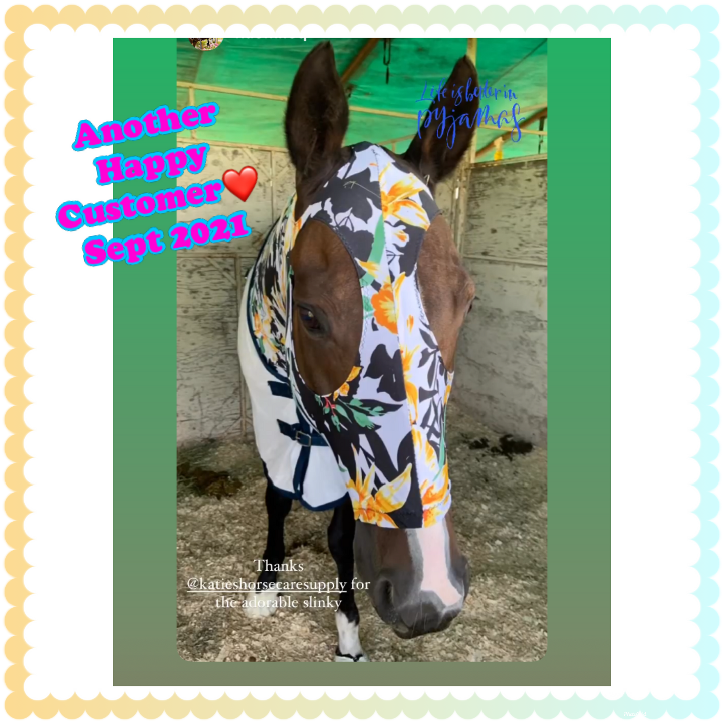 HORSE SIZE SLINKY. FREE CHARM