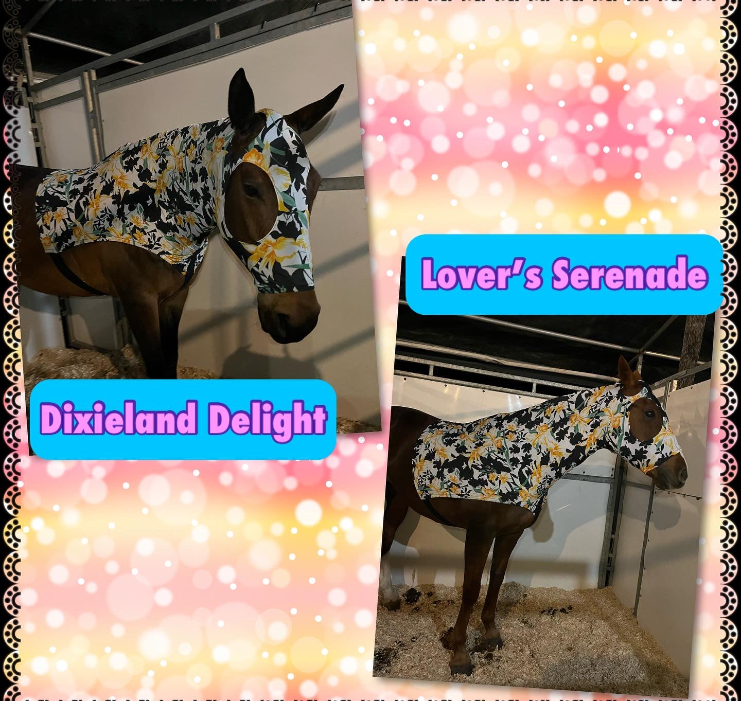LARGE PONY/SMALL HORSE SLINKY. FREE CHARM